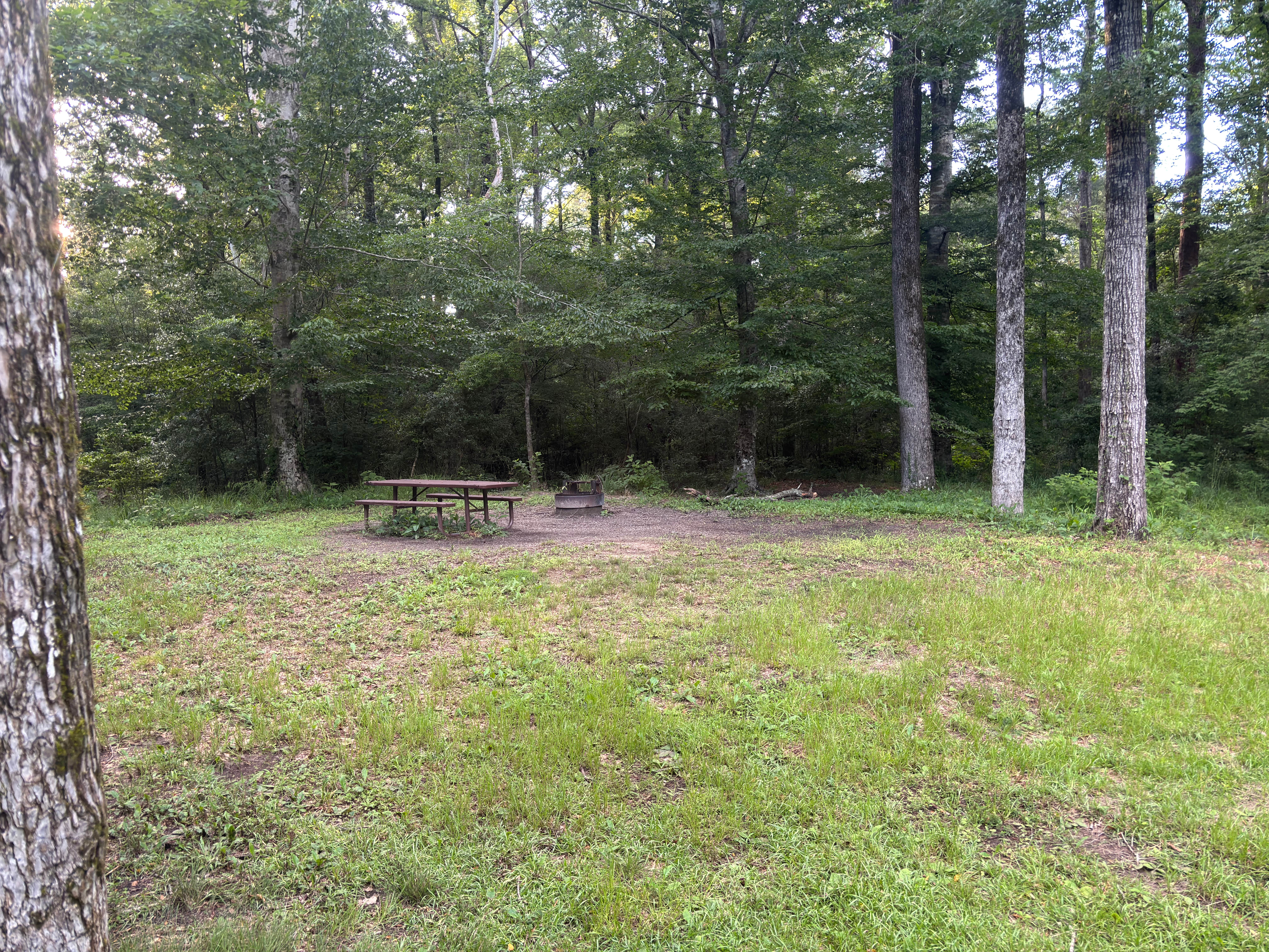 Camper-submitted photo at Kisatchie Bayou Complex near Anacoco, LA