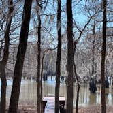 Review photo of Lake Bistineau State Park Campground by lynn K., February 8, 2026