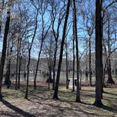 Review photo of Lake Bistineau State Park Campground by lynn K., February 8, 2026