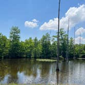 Review photo of Lake Bruin State Park Campground by Amanda F., July 16, 2026