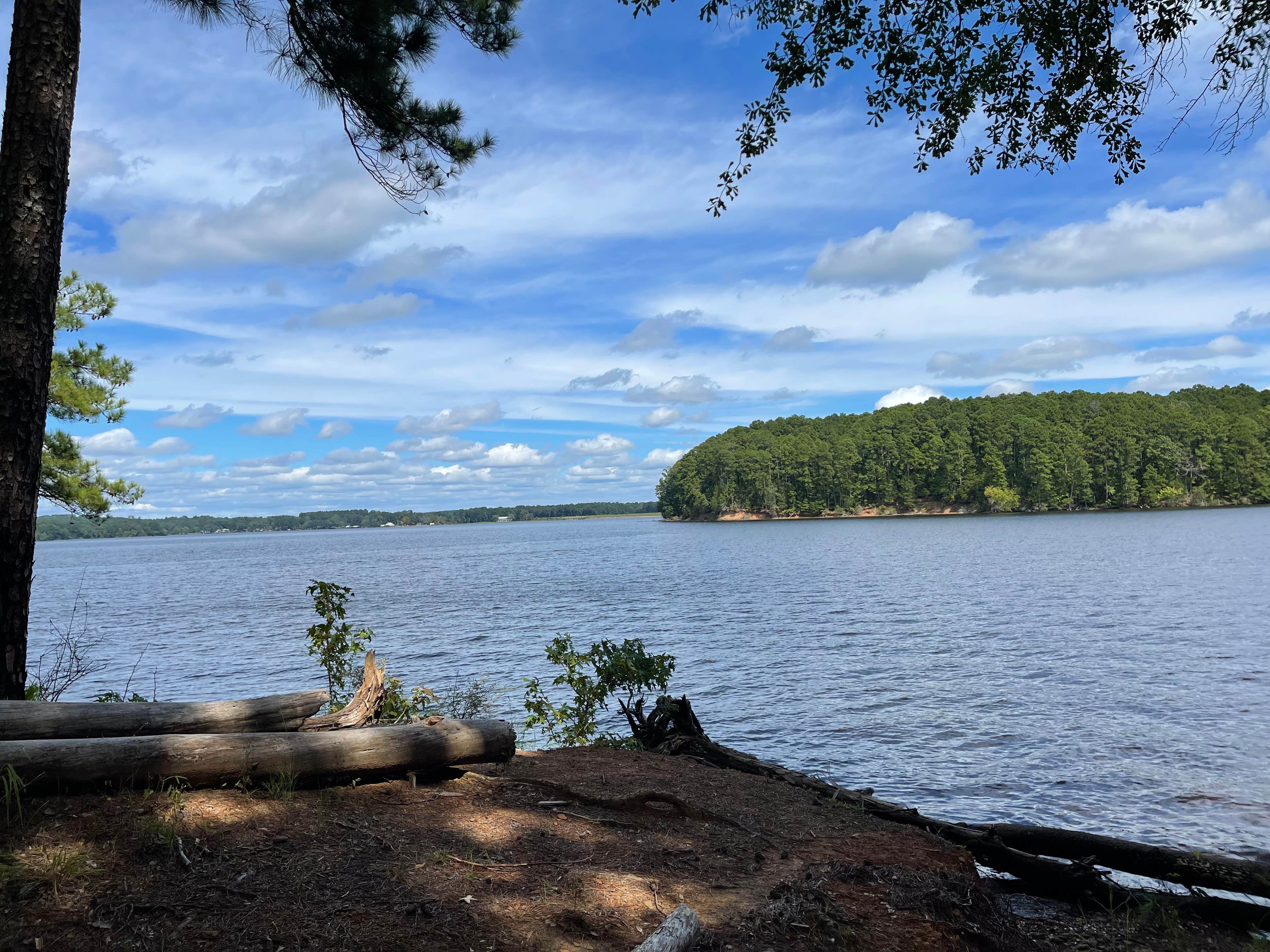 Camper-submitted photo at Lake Claiborne State Park Campground near McNeil, AR
