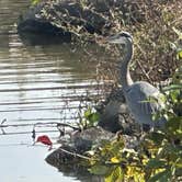 Review photo of Lake End Park Campground & Marina by James P., November 29, 2023