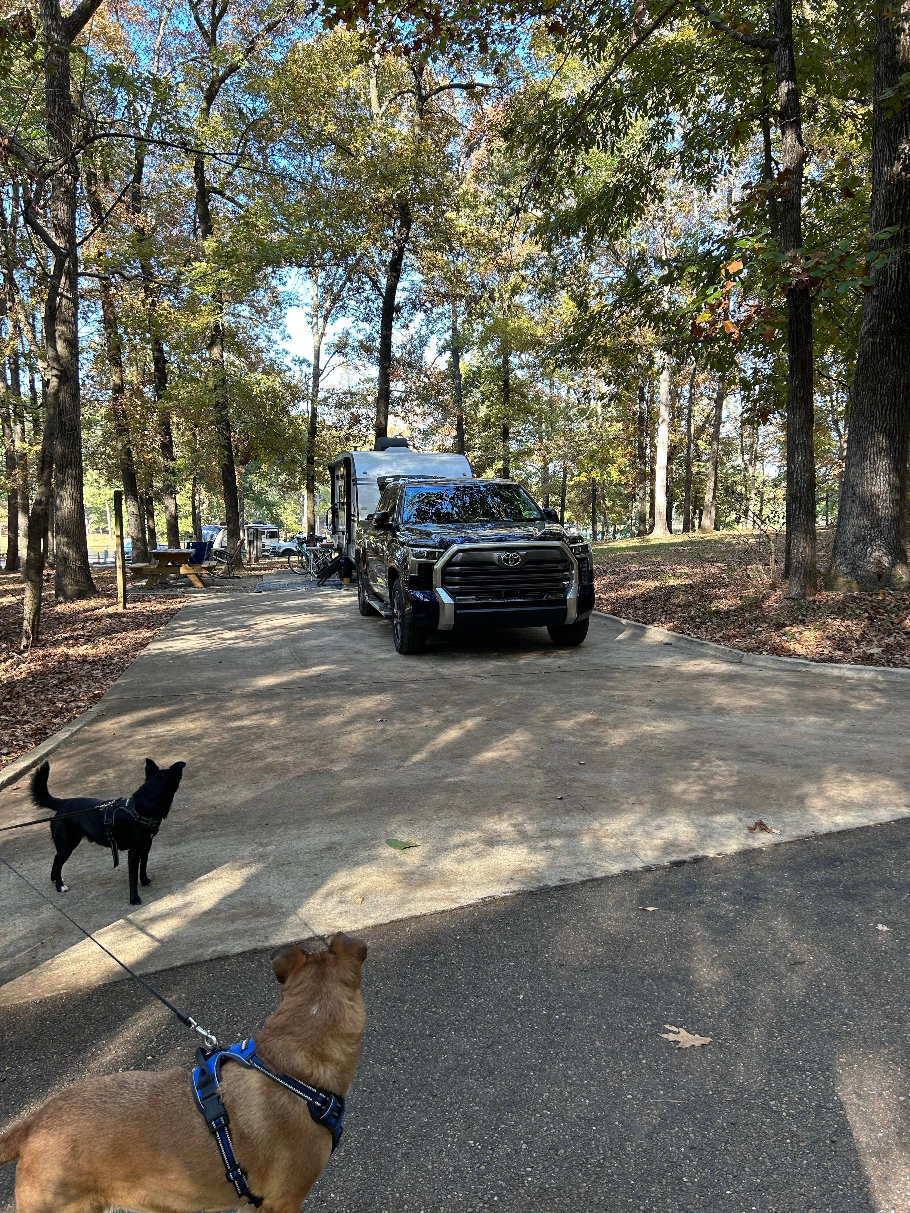 cami's photo of camping with pets at Lincoln Parish Park near Fairbanks, LA