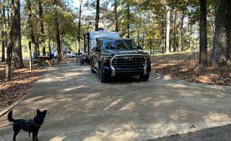 cami's photo of camping with pets at Lincoln Parish Park near Ruston, LA