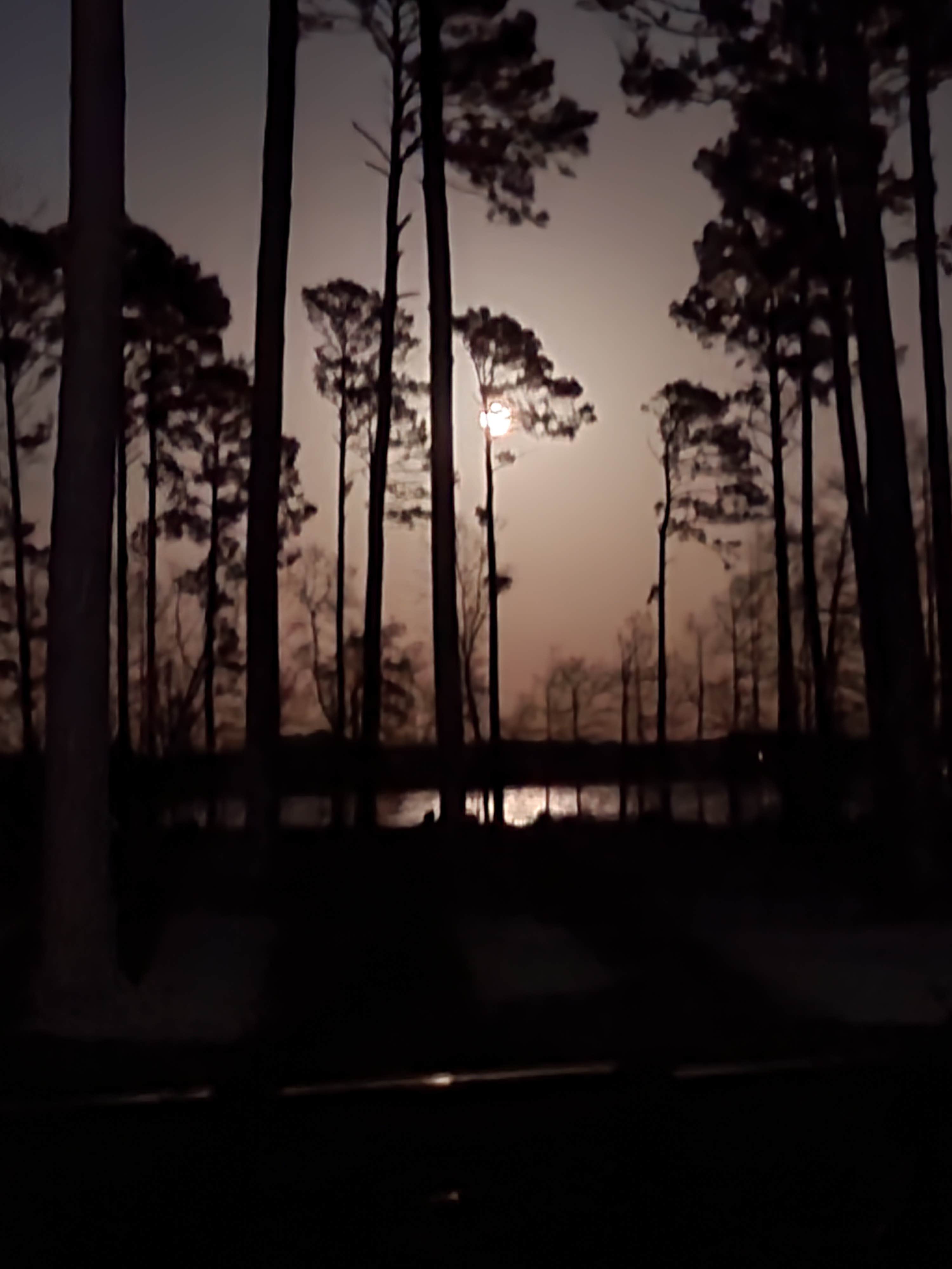 Camper-submitted photo at North Toledo Bend State Park Campground near Natchitoches, LA