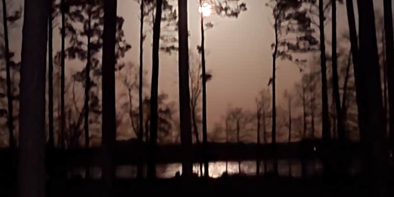 Camper submitted image from North Toledo Bend State Park Campground