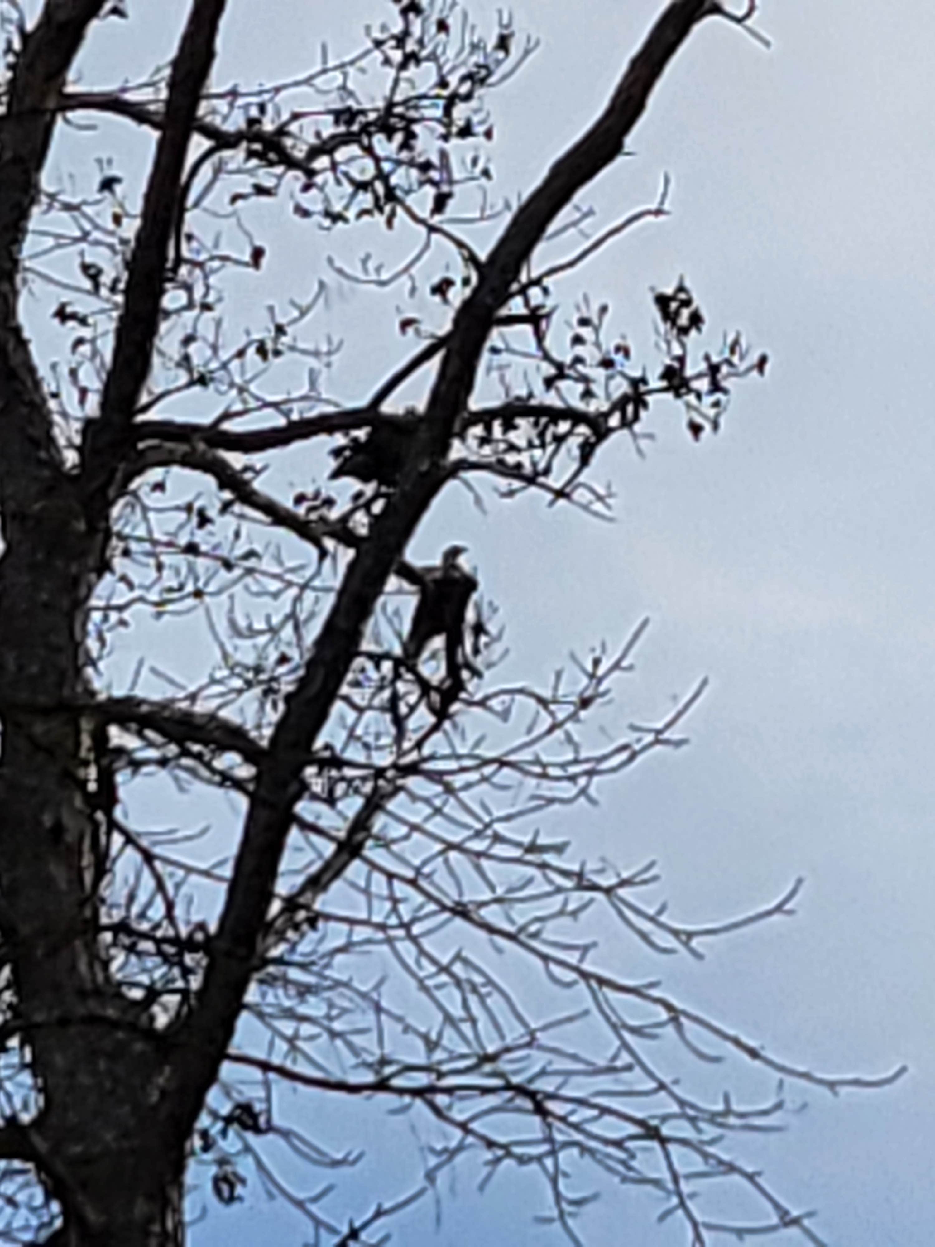 Camper-submitted photo at North Toledo Bend State Park Campground near Natchitoches, LA