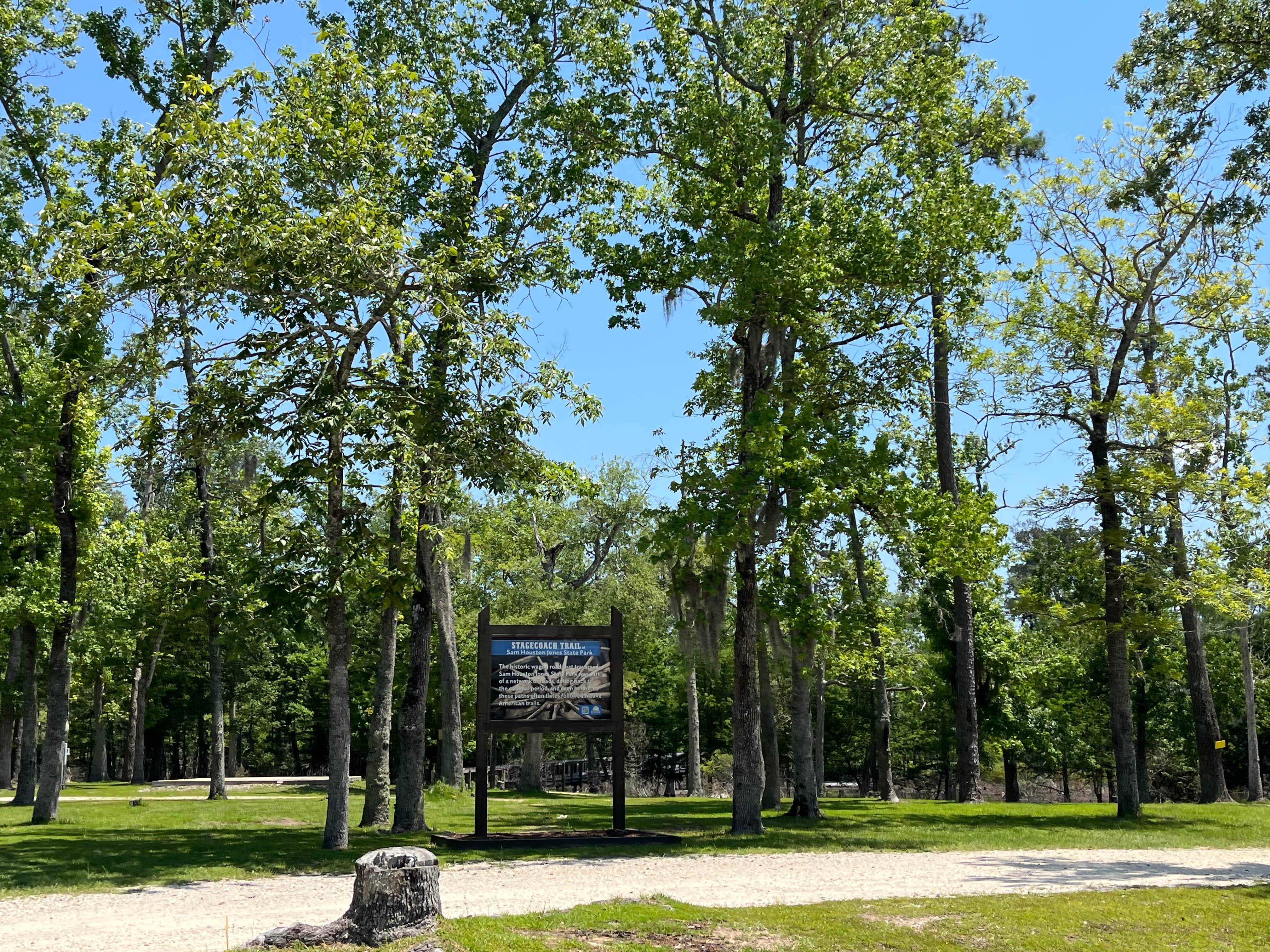 Camper-submitted photo at Sam Houston Jones State Park — Sam Houston Jones State Park District II near Holly Beach, LA