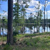 Review photo of Sam Houston Jones State Park — Sam Houston Jones State Park District II by Susan R., May 8, 2026
