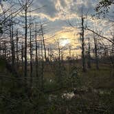 Review photo of Sam Houston Jones State Park — Sam Houston Jones State Park District II by Ursula , January 18, 2026