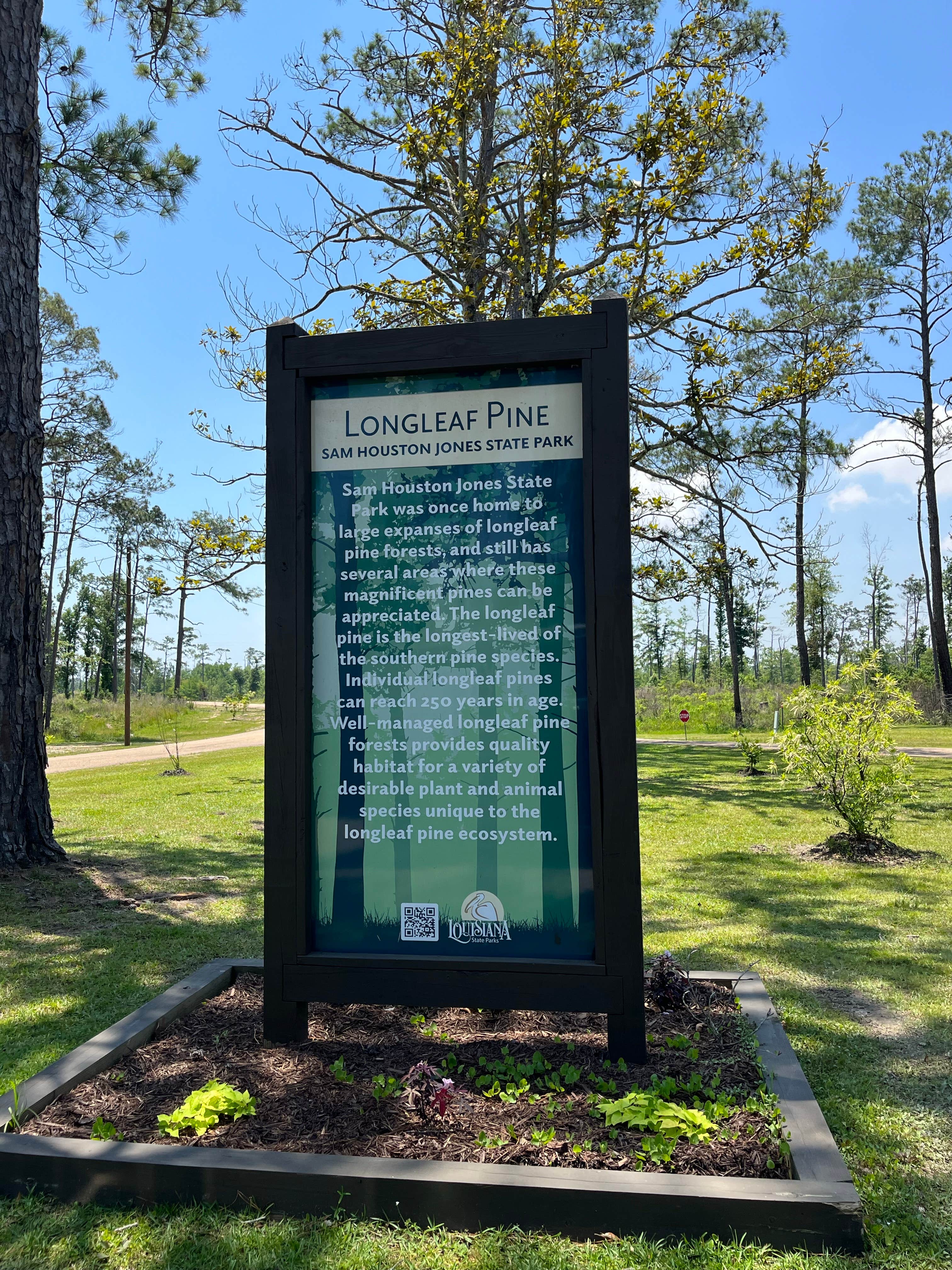 Camping near Bayou Marino Rv Park: Sam Houston Jones State Park — Sam Houston Jones State Park District II, Lake Charles, Louisiana