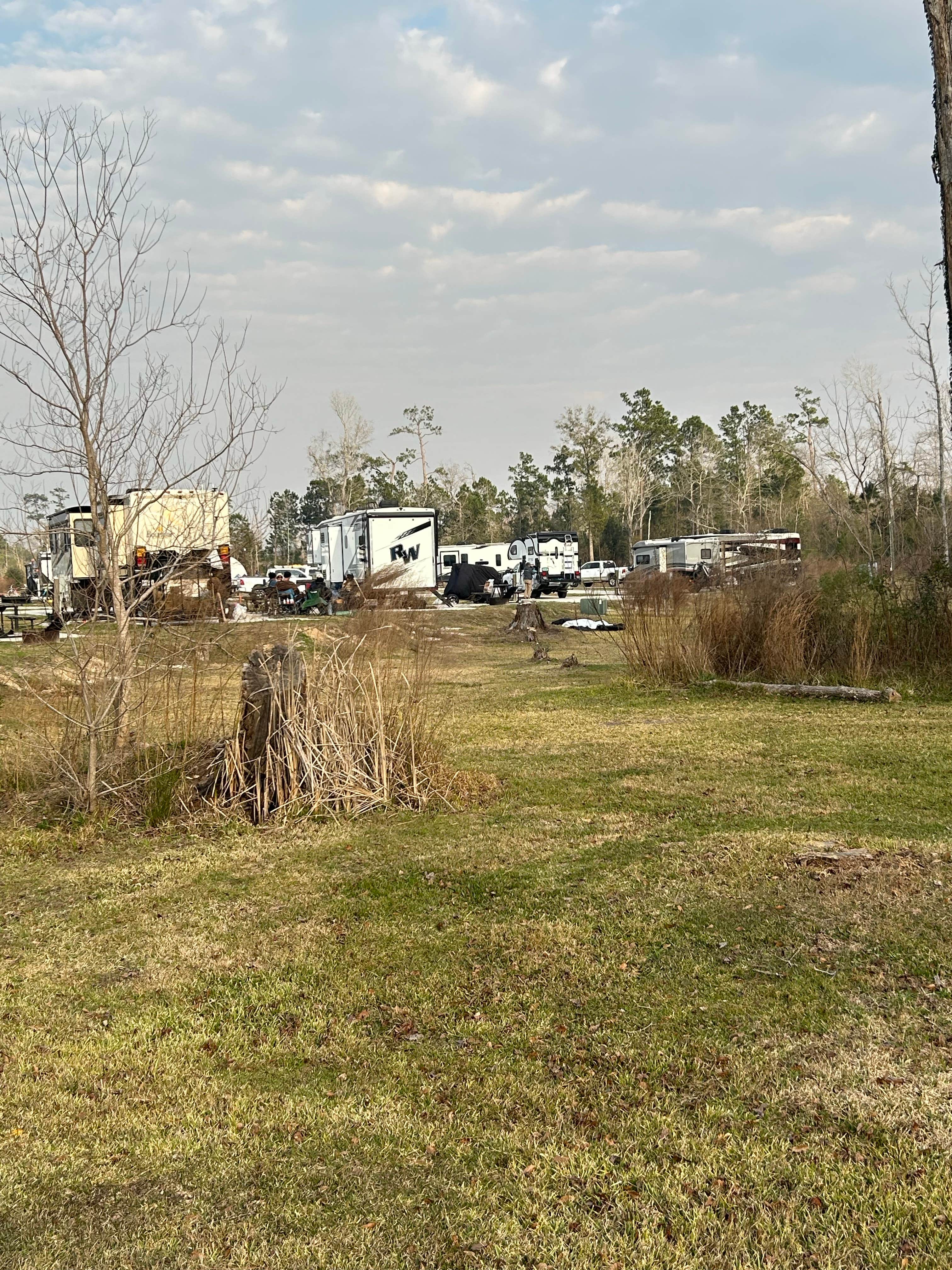 Camping near Twelve Palms RV Park Downtown: Sam Houston Jones State Park — Sam Houston Jones State Park District II, Lake Charles, Louisiana