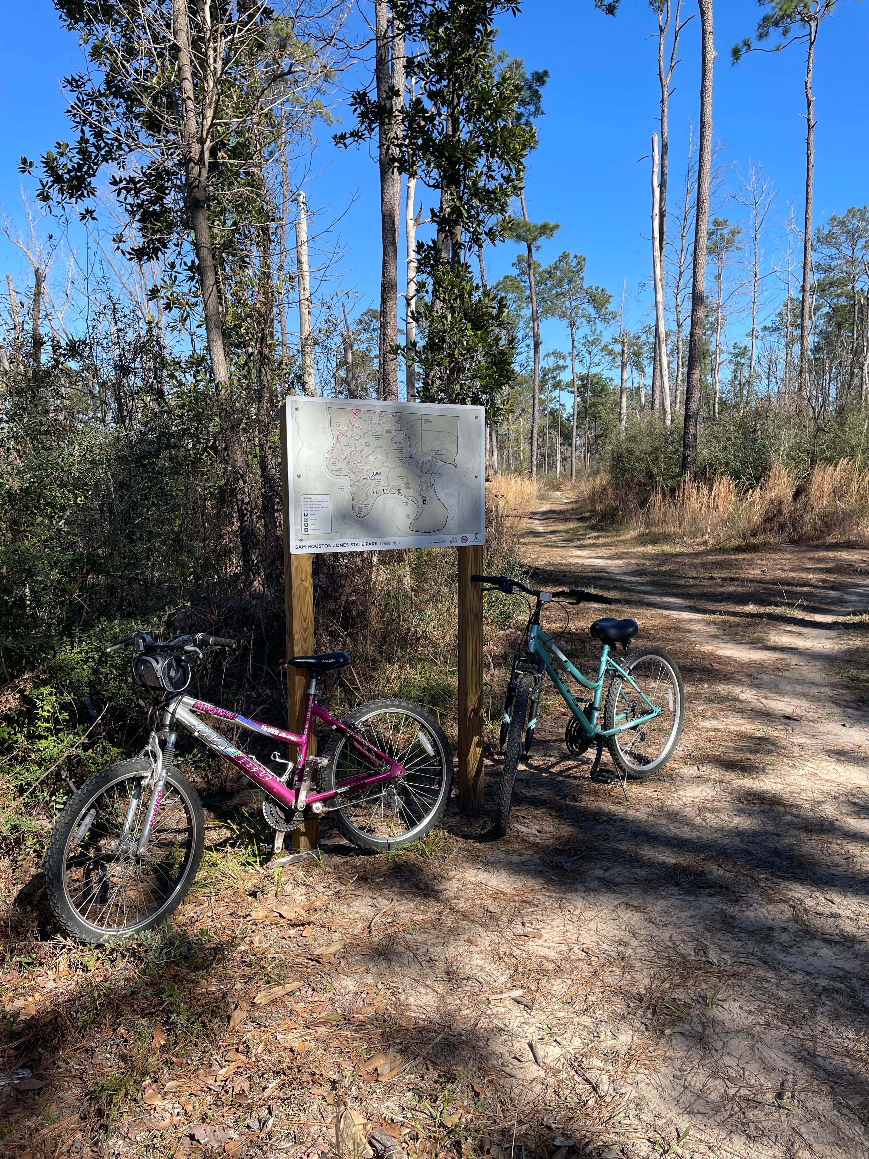 Camper-submitted photo at Sam Houston Jones State Park — Sam Houston Jones State Park District II near Lake Charles, LA