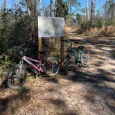 Review photo of Sam Houston Jones State Park — Sam Houston Jones State Park District II by Beth B., January 19, 2026