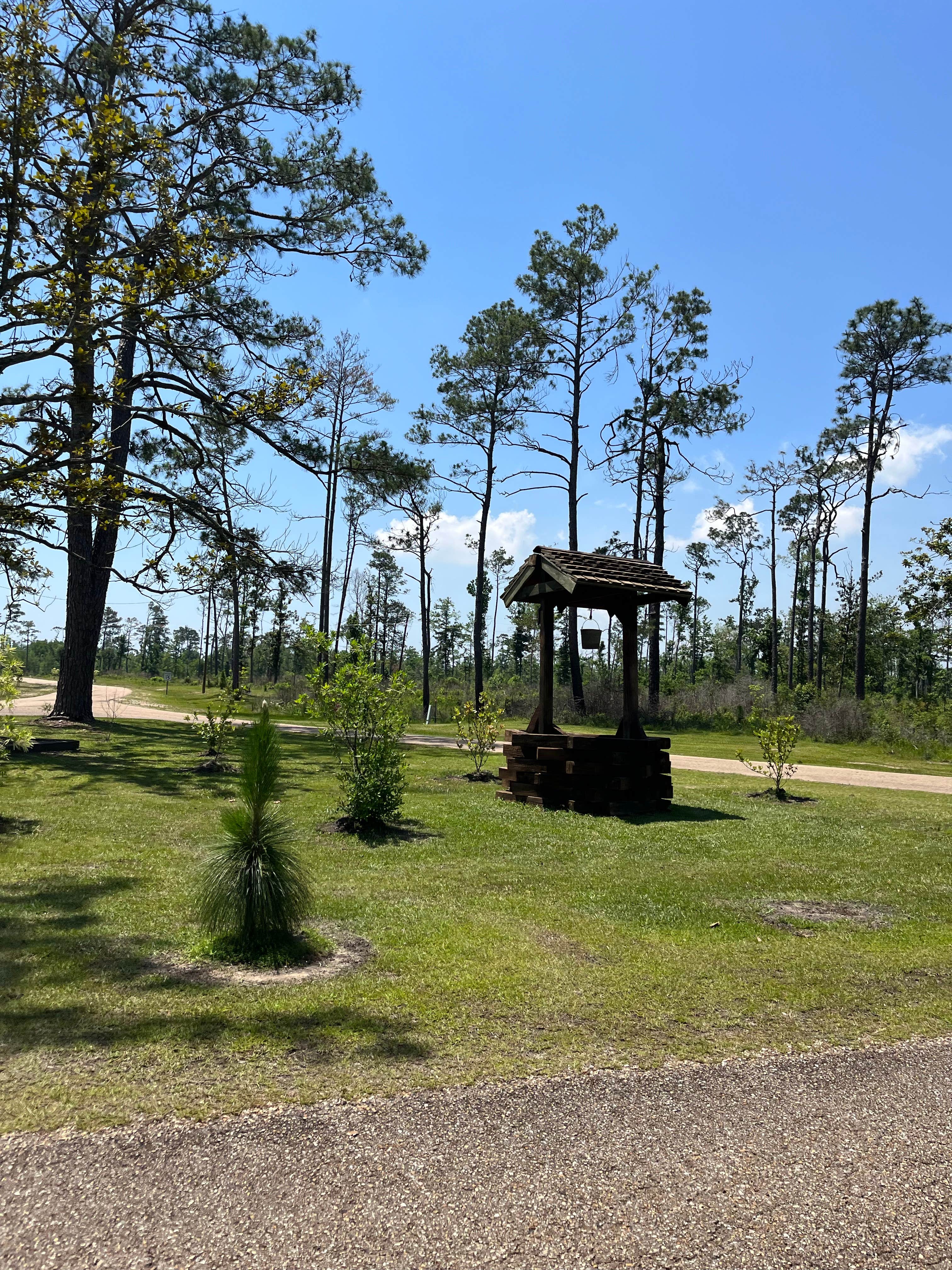 Camper-submitted photo at Sam Houston Jones State Park — Sam Houston Jones State Park District II near Holly Beach, LA