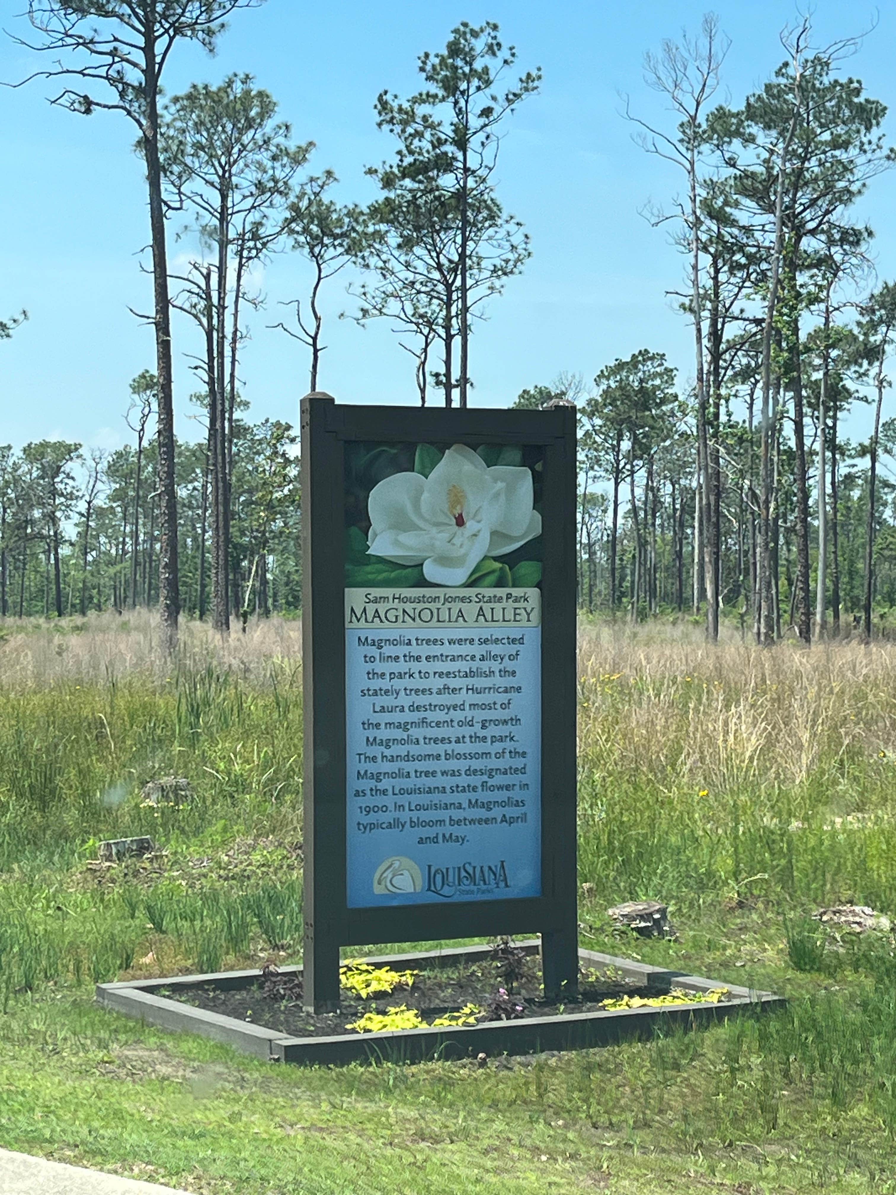 Camper-submitted photo at Sam Houston Jones State Park — Sam Houston Jones State Park District II near Holly Beach, LA