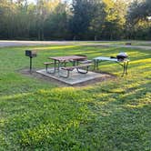 Review photo of St. Bernard State Park Campground by James P., November 14, 2024