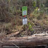 Review photo of Tickfaw State Park Campground by Tyler H., January 14, 2026