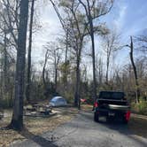 Review photo of Tickfaw State Park Campground by Tyler H., January 27, 2024