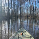 Review photo of Tickfaw State Park Campground by Tyler H., January 27, 2024