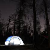 Review photo of Tickfaw State Park Campground by Tyler H., January 27, 2024