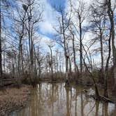 Review photo of Tickfaw State Park Campground by Tyler H., January 14, 2026