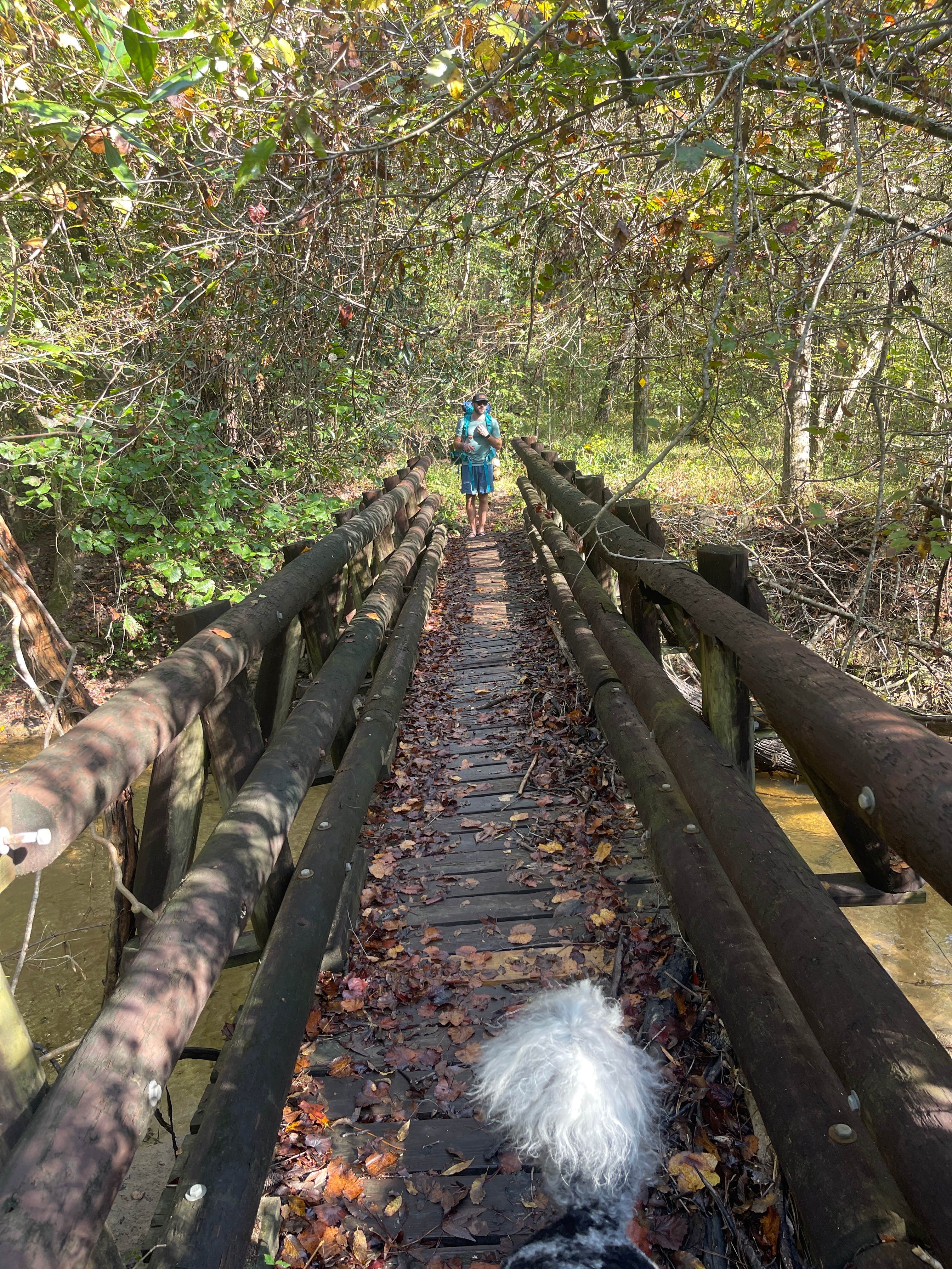 Taylor C.'s photo of camping with pets at Valentine Lake Northshore Campground near Marksville, LA