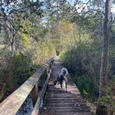 Review photo of Valentine Lake Northshore Campground by Taylor C., April 3, 2025