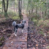 Review photo of Valentine Lake Northshore Campground by Taylor C., April 3, 2025