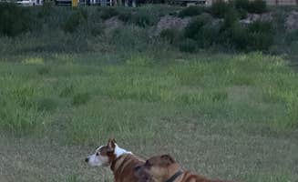 Soren B.'s photo of rv camping at Love's RV Hookup-Burlington CO 644 near Weskan, KS