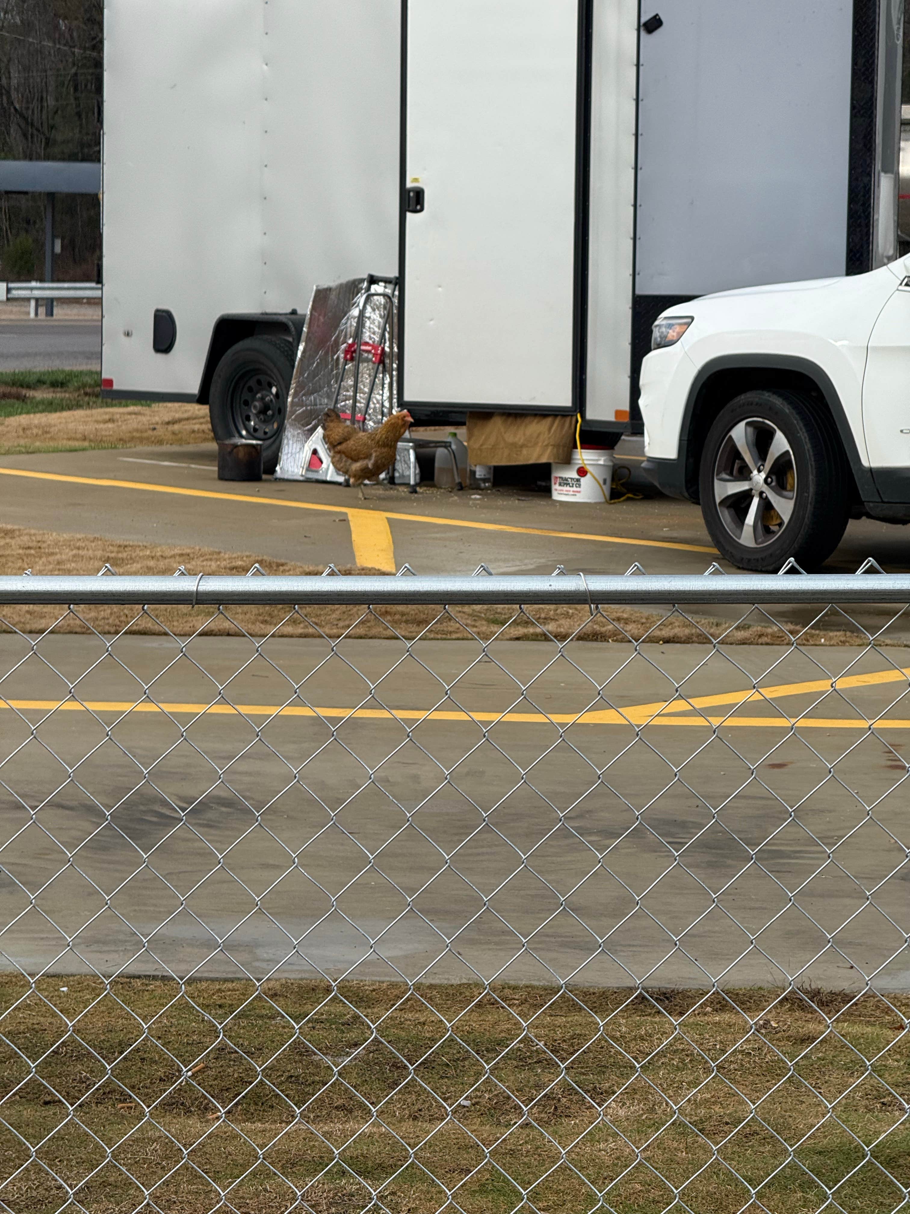 Camper submitted image from Love's RV Hookup-Holladay TN 791 - 2