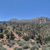 Review photo of Lovell Canyon Dispersed Camping (Spring Mountain) by Beverley G., November 13, 2024