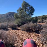 Review photo of Lovell Canyon Dispersed Camping (Spring Mountain) by Beverley G., November 13, 2024