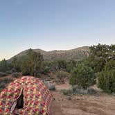 Review photo of Lovell Canyon Dispersed Camping (Spring Mountain) by Kat P., March 10, 2026