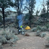 Review photo of Lovell Canyon Dispersed Camping (Spring Mountain) by Ken W., December 24, 2023