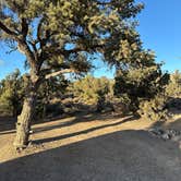 Review photo of Lovell Canyon Dispersed Camping (Spring Mountain) by Gregory O., February 6, 2025