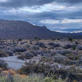 Review photo of Lovell Canyon Dispersed Camping (Spring Mountain) by rory S., September 22, 2025