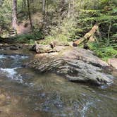 Review photo of Low Gap Campground — Chattahoochee Oconee National Forest by Taylor H., September 1, 2026