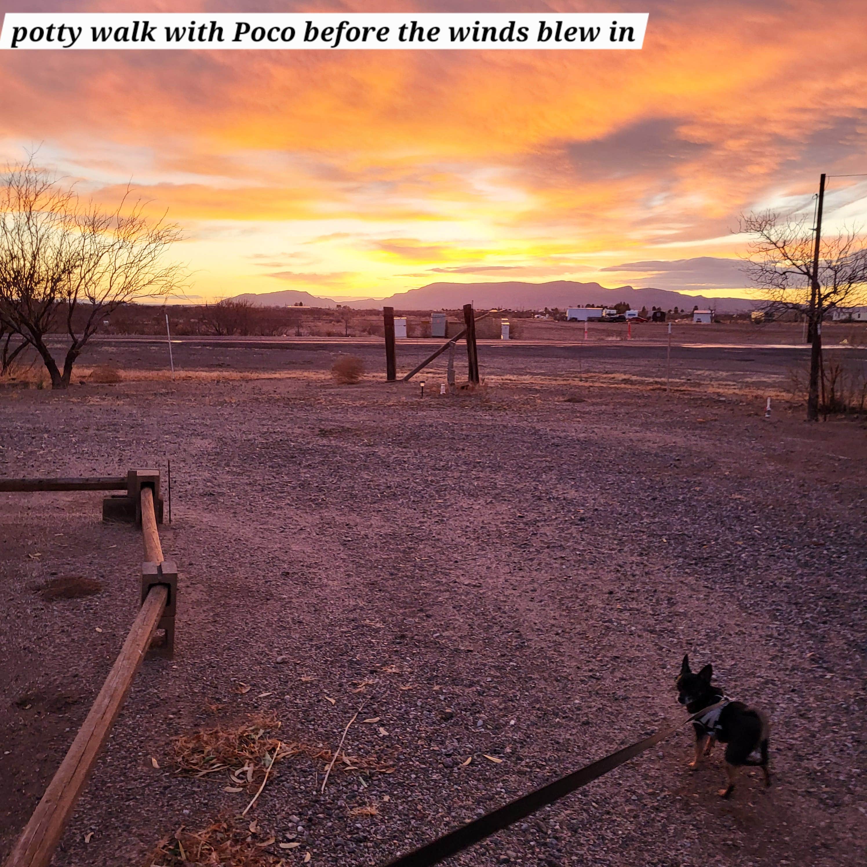 Camper-submitted photo at Low Hi RV Ranch near Faywood, NM