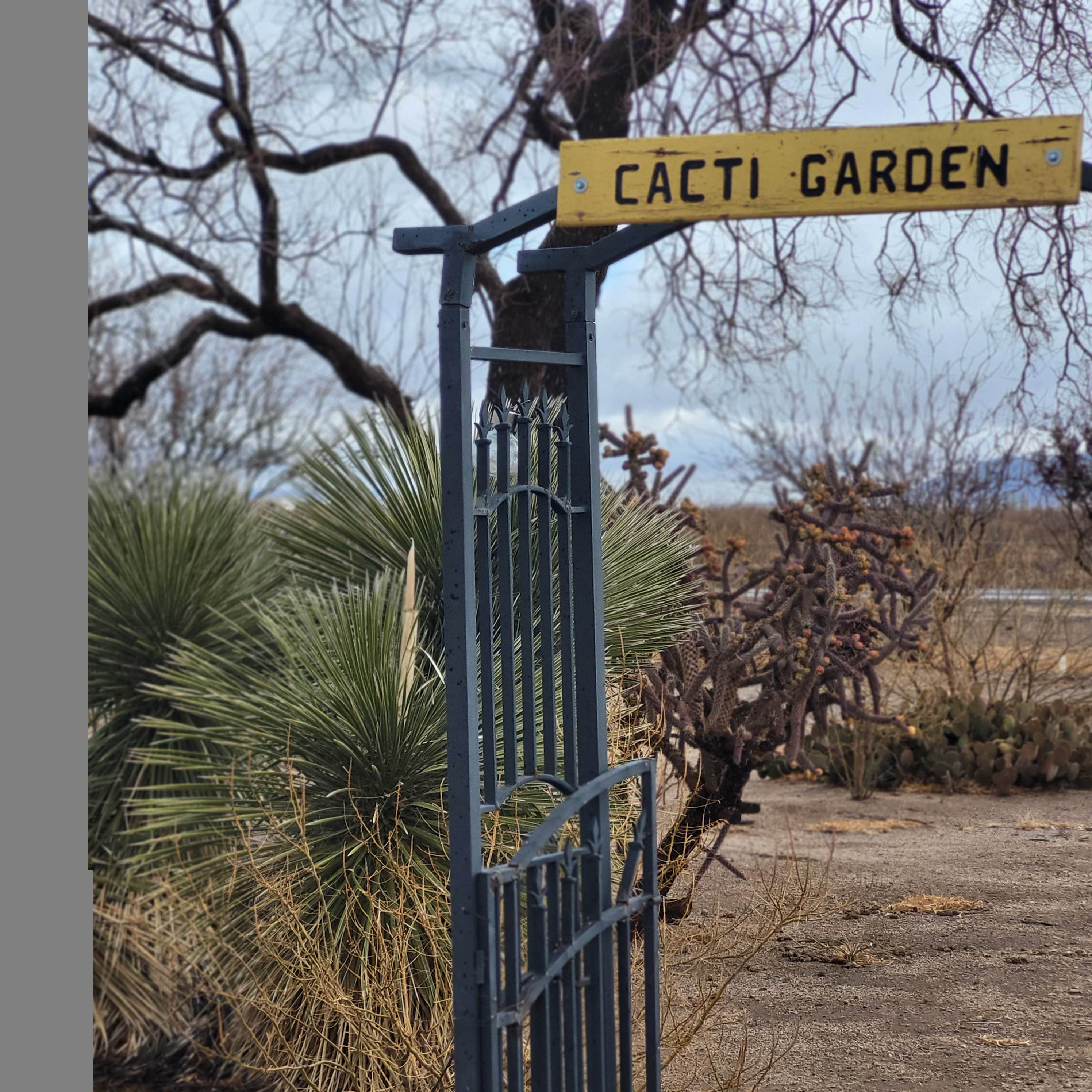 Camper-submitted photo at Low Hi RV Ranch near Faywood, NM