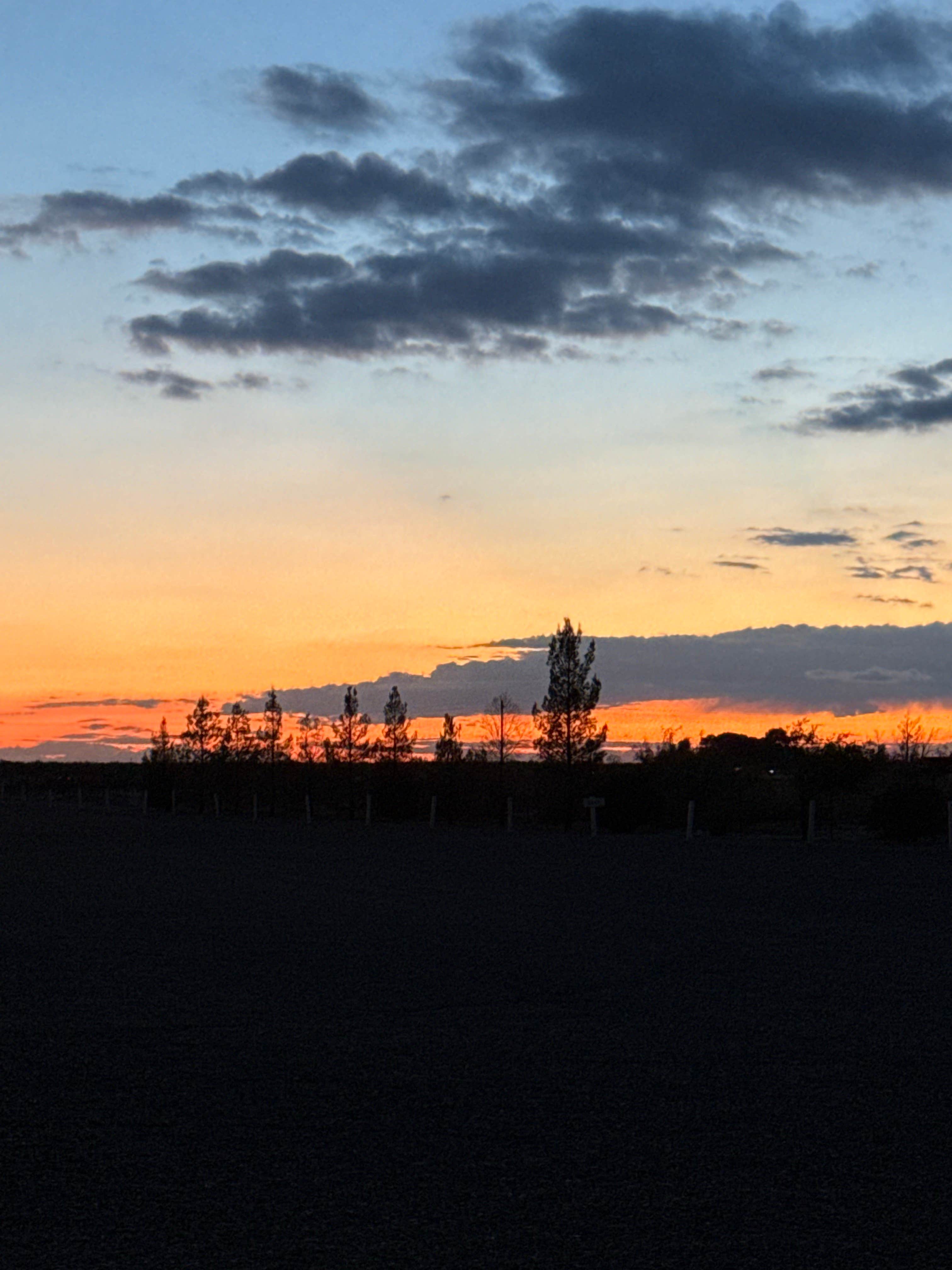 Camper-submitted photo at Low Hi RV Ranch near Faywood, NM