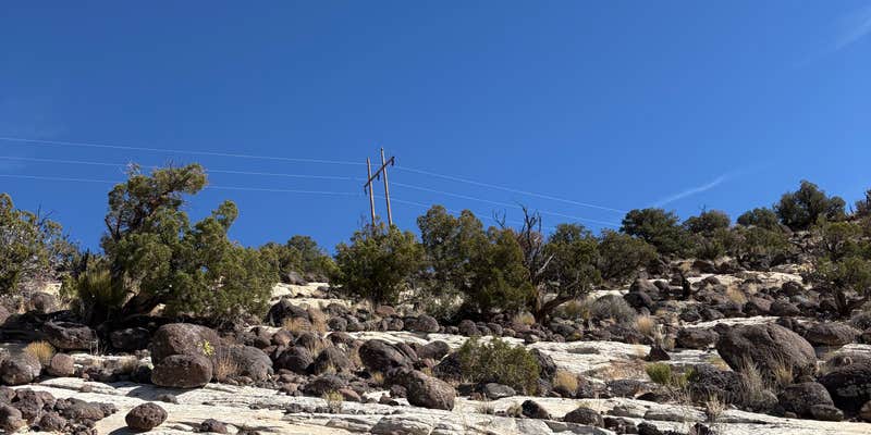 Camper submitted image from Lower Calf Creek Falls Recreation Area