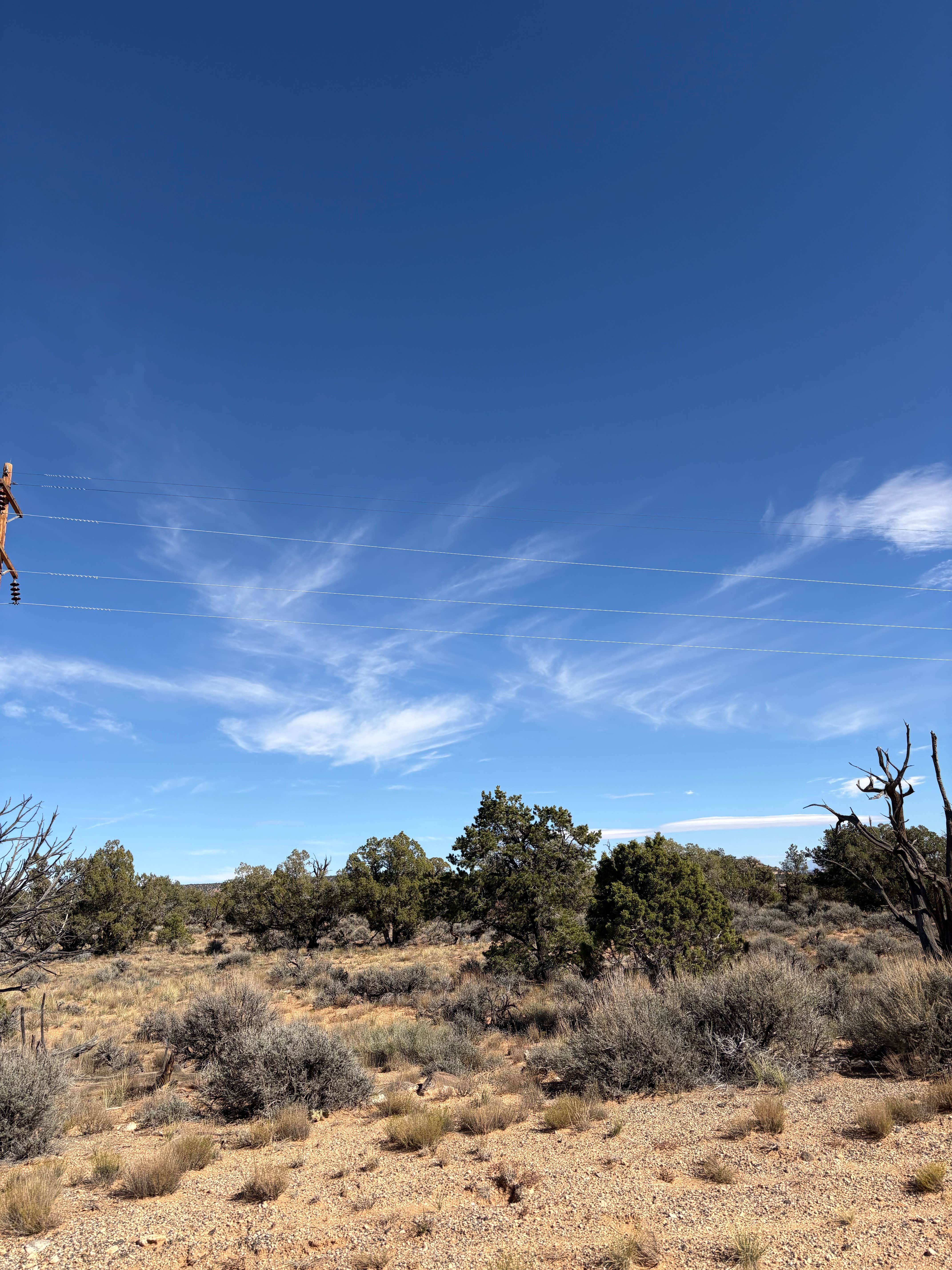 Camper submitted image from Lower Calf Creek Falls Recreation Area - 3