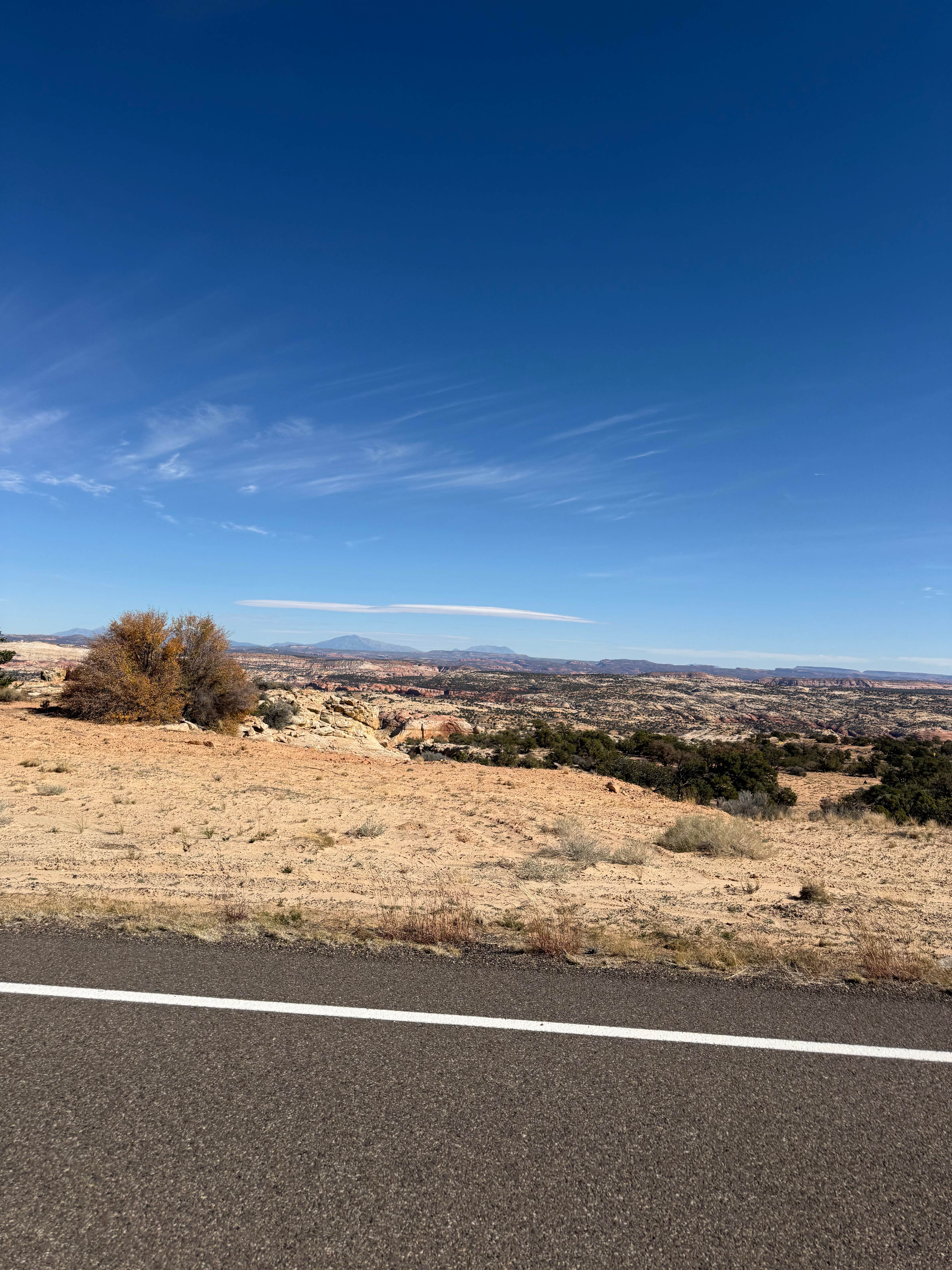Stacia M.'s photo of a dispersed camping area at Lower Calf Creek Falls Recreation Area near Escalante, UT