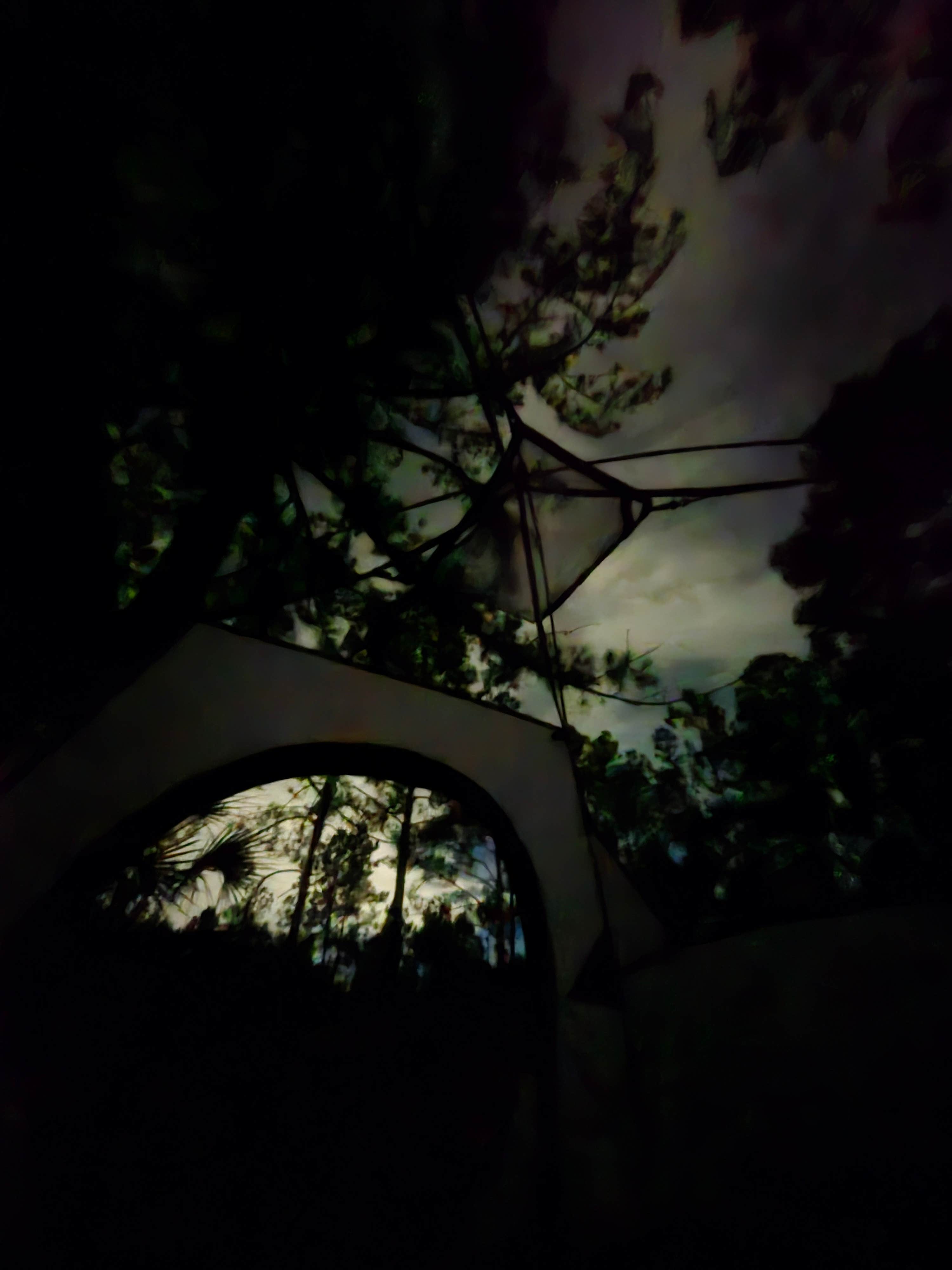 Camper-submitted photo at Lower Hillsborough Wilderness Preserve near Riverview, FL