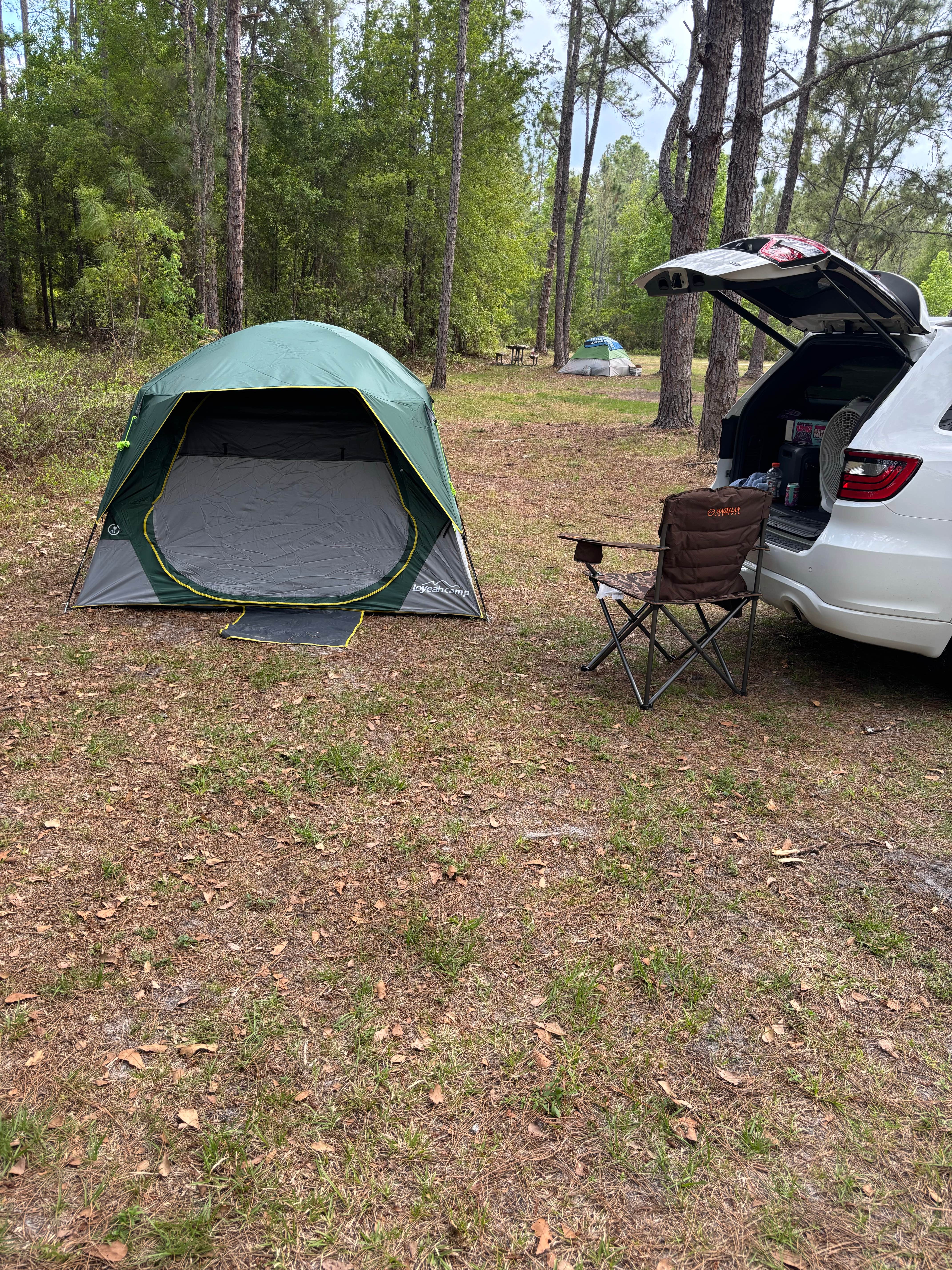 Buddy M.'s photo at Lower Hillsborough Wilderness Preserve near Tampa, FL