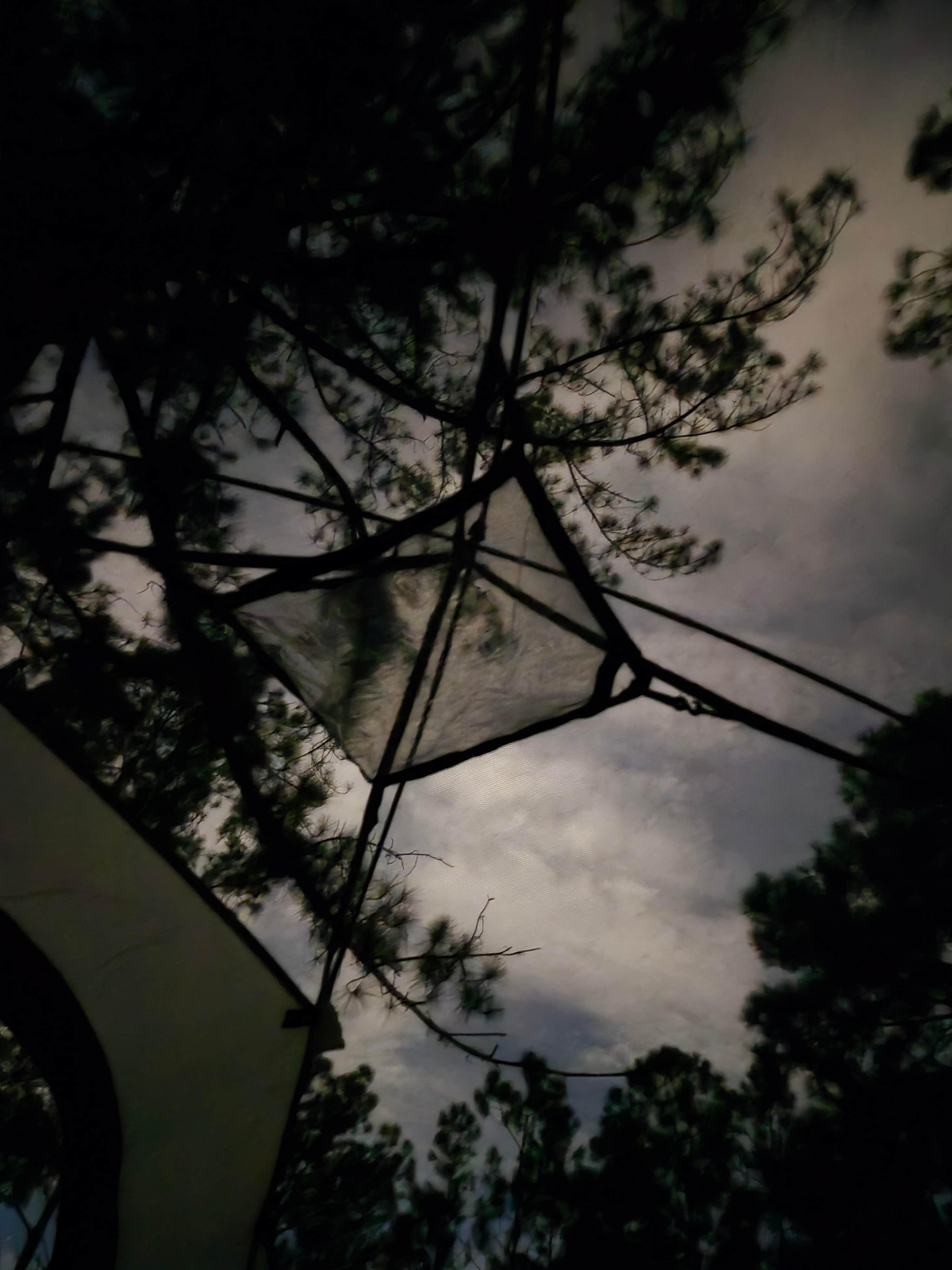 Camper-submitted photo at Lower Hillsborough Wilderness Preserve near Riverview, FL