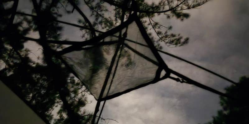 Camper submitted image from Lower Hillsborough Wilderness Preserve