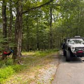 Review photo of Lower Lake Campground Beechwood Area — Promised Land State Park by Siobhan D., July 25, 2024