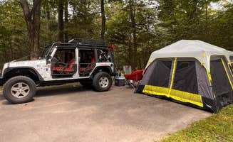 Siobhan D.'s photo at Lower Lake Campground Beechwood Area — Promised Land State Park near Paupack, PA